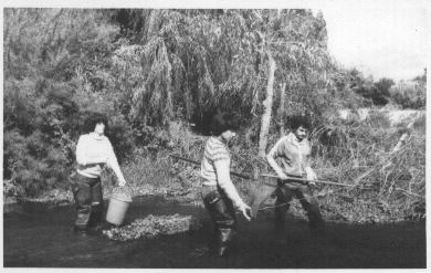 WhatsApp Image 2024-04-26 at 2.40.04 PM (2)