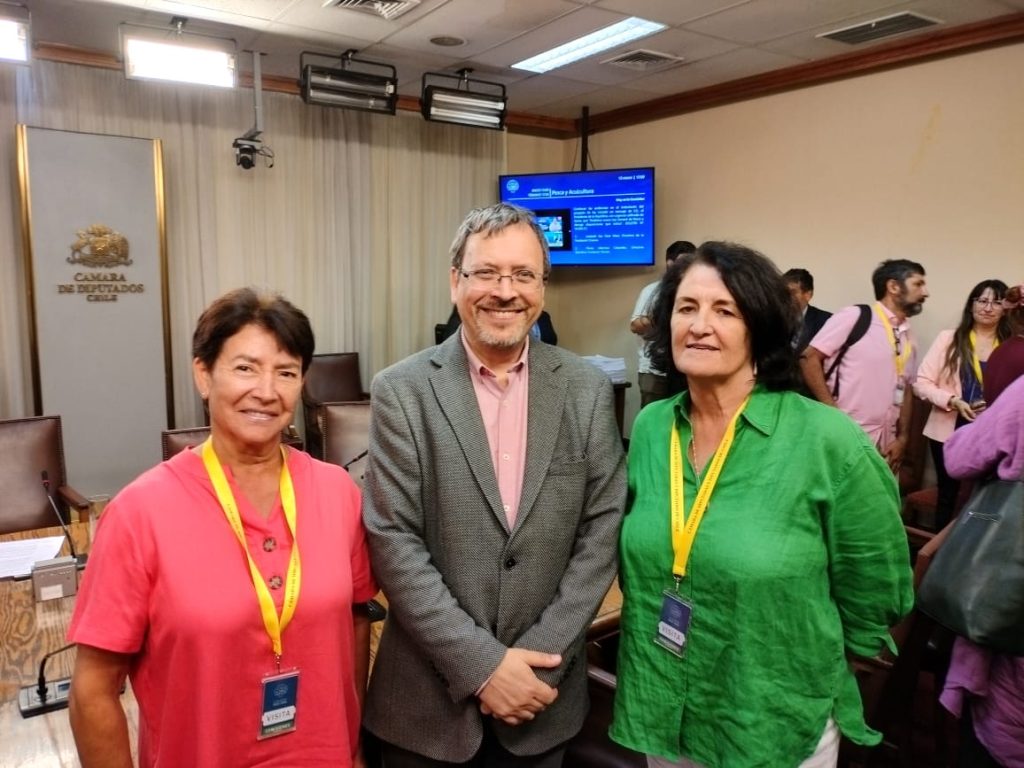 WhatsApp Image 2024-04-26 at 2.40.13 PM (3)